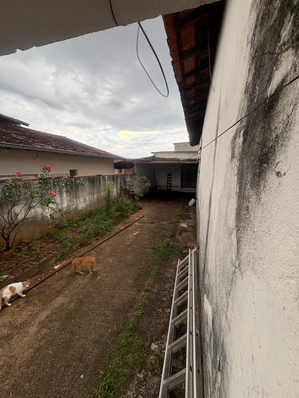 Imagem-do-WhatsApp-de-2025-04-22-as-14.57.24_633193ff