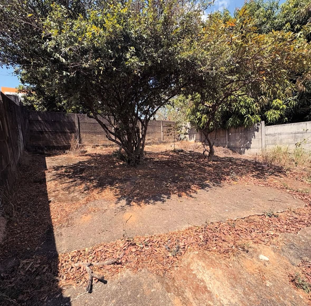 Imagem-do-WhatsApp-de-2025-09-22-as-15.26.00_bbdce368